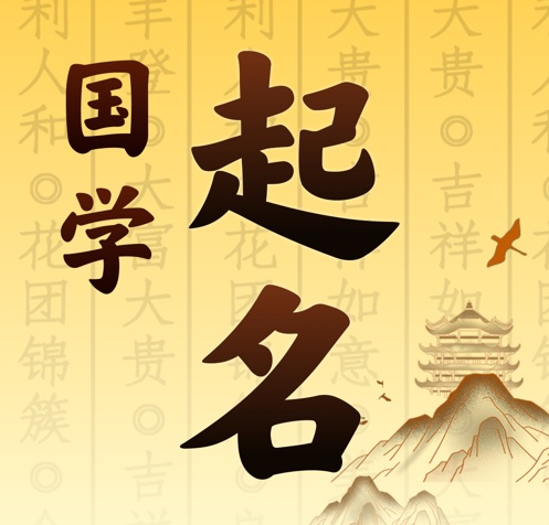 覃塘国学起名 人工起名一对一